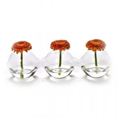 Vaza - Rene Barba - Caterpillar 