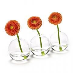 Vaza - Rene Barba - Caterpillar 