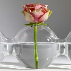 Vaza - Rene Barba - Caterpillar 