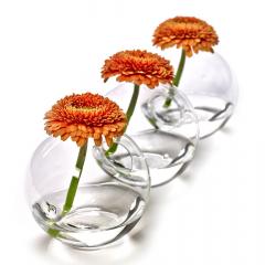 Vaza - Rene Barba - Caterpillar 