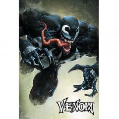 Poster Maxi - Venom
