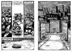 Teenage Mutant Ninja Turtles Compendium - Volume 1