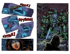 Best of Teenage Mutant Ninja Turtles Collection - Volume 2