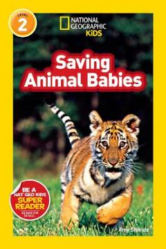Coperta cărții National Geographic Kids Readers: Saving Animal Babies