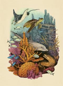 Oceanarium Poster Book