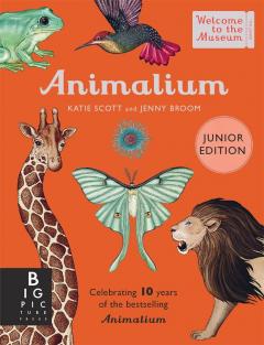 Animalium 