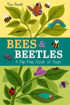 Bees & Beetles: A Flip-Flap Book of Bugs