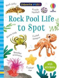 Coperta cărții Rock Pool Life to Spot