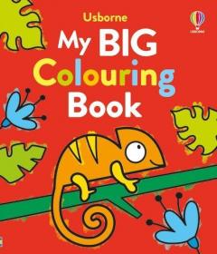 Coperta cărții My Big Colouring Book