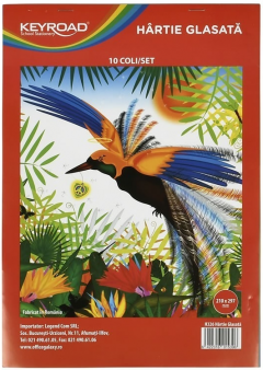 Hartie glasata A4 - 10 culori