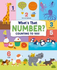 What's That Number? Counting To 100!