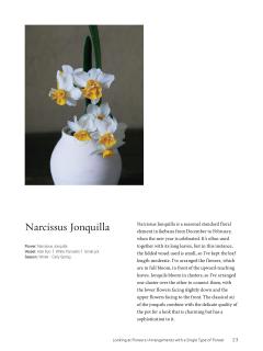 Ikebana - The Zen Way of Flowers