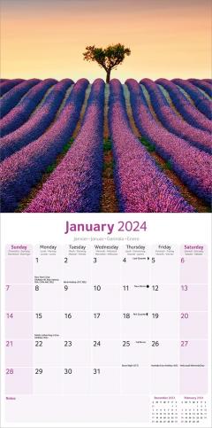 Calendar 2024 - Lavender