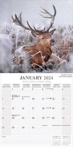 Calendar 2024 - Seasons