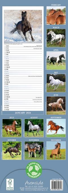 Calendar 2024 - Horses Slimline