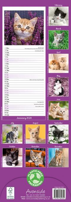 Calendar 2024 - Kittens Slimline