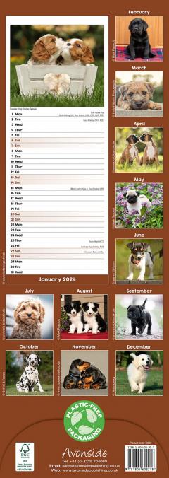 Calendar 2024 - Puppies Slimline
