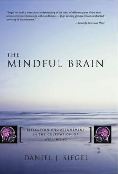 The Mindful Brain In Human Development