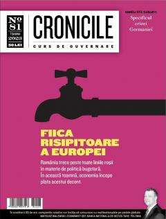 Cronicile. Curs de guvernare - Nr. 81, Toamna 2023