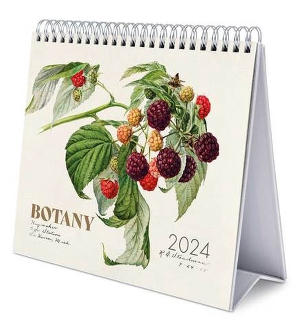 Calendar 2024 Botany Grupo Erik
