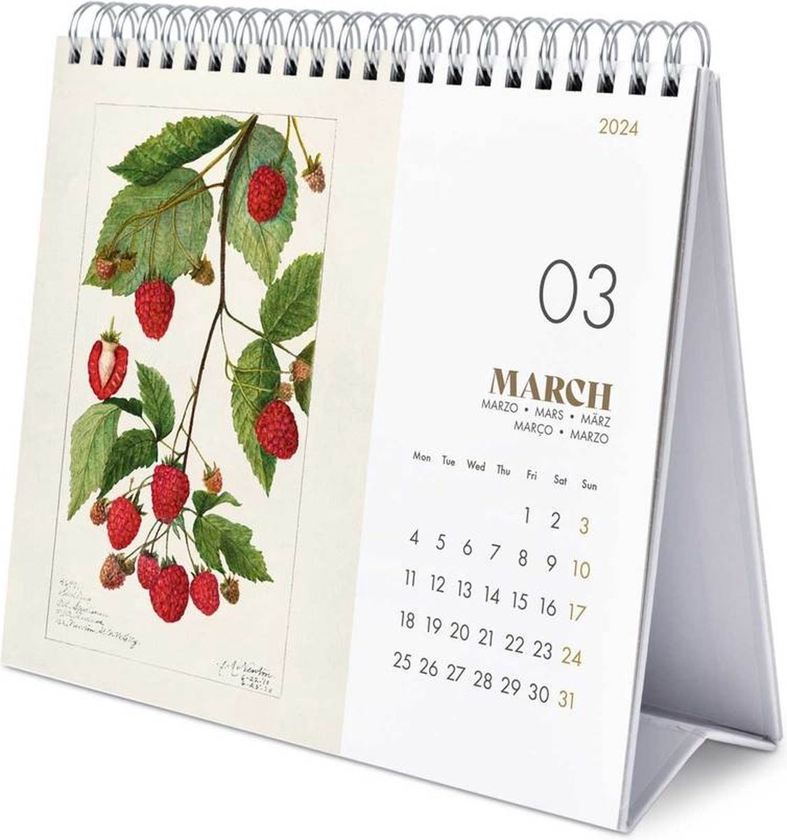 Calendar 2024 Botany Grupo Erik