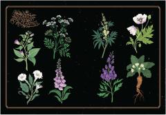 The League of Lady Poisoners