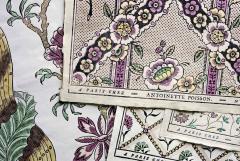 Year in a French Manor