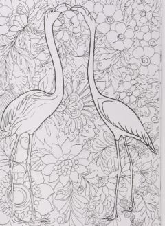 Carte de colorat pentru familie - Pasari