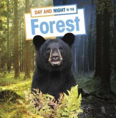 Coperta cărții Day and Night in the Forest