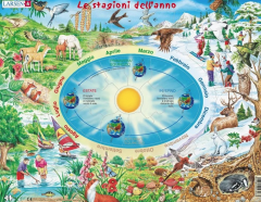 Puzzle 44 piese - The Seasons of the Year