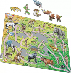 Puzzle - Drumul de la maimuta la om