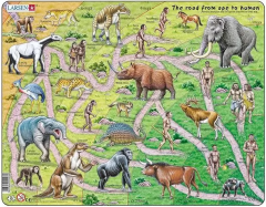 Puzzle - Drumul de la maimuta la om