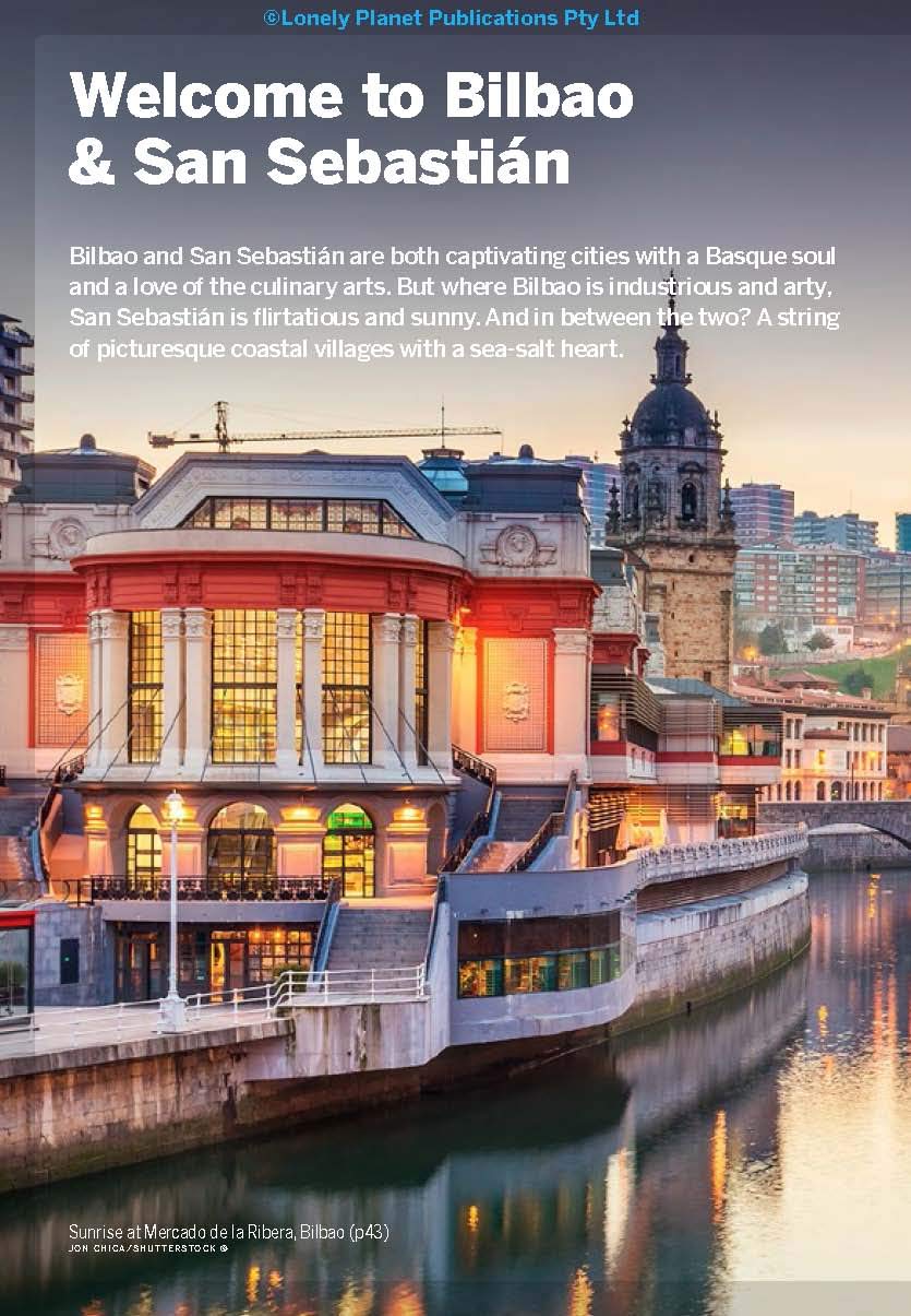 Lonely Planet Pocket Bilbao & San Sebastian - Regis St Louis