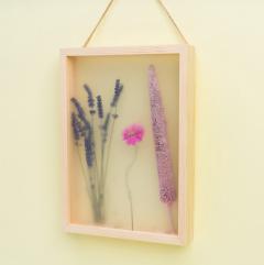 Rama foto - Transparent long