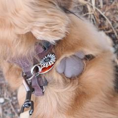 Suport pentru AirTag - Kobe-Tag