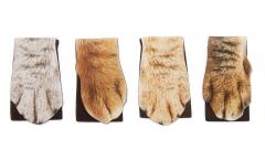 Set 4 semne de carte magnetice - Cat Paw