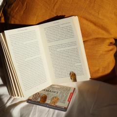 Set 4 semne de carte magnetice - Cat Paw