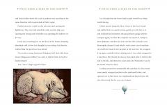 Once Upon a Time in the North