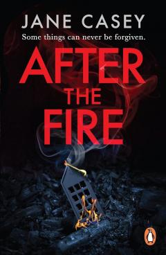 After the Fire - Volume 6