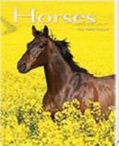 Horses: Pocket Book Rita Mabel Schiavo
