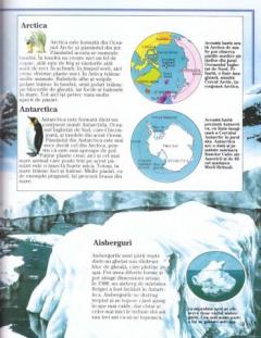 Viata salbatica a lumii. Zonele polare