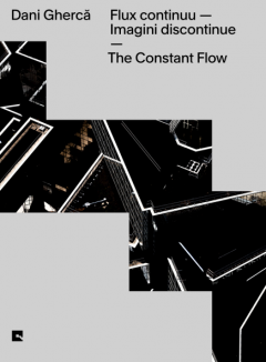 Dani Gherca.Flux continuu - Imagini discontinue / The Constant Flow