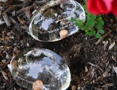 Sistem de irigatie plante - Water From a Stone