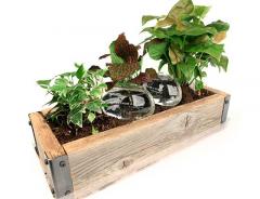 Sistem de irigatie plante - Water From a Stone