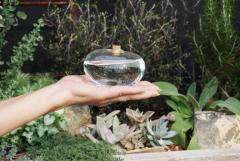 Sistem de irigatie plante - Water From a Stone