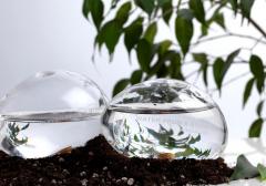 Sistem de irigatie plante - Water From a Stone