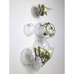 Suport de perete pentru plante - Balloon Beatrice