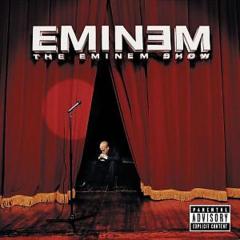 The Eminem Show - Vinyl
