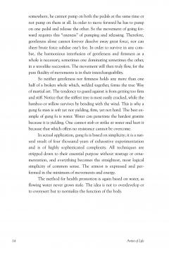 Bruce Lee Artist of Life