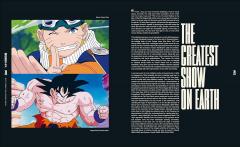 Anime Through the Looking Glass